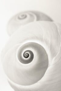 [403] Retazos de mar Isabel Mª Torres Almenta