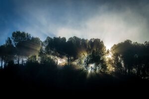 [410] Anochecer con niebla Bernardino Marin Claro