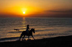 [415] Contraluz Ricardo Bejarano