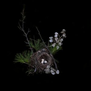 [416] TRILLIZOS PEDRO LATORRE