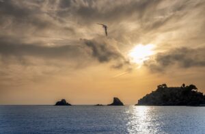 [419] Libertad Carmen Dominguez Rosales