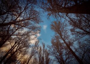 [425] Mirando al cielo Nati Amat