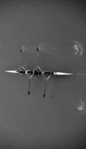 [438] Untitled Luis Fuentes Ramos