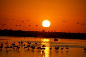 [439] Atardecer Miguel González Delgado