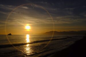 [453] Reflejo Francisco Agüera Arrabali