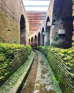 [458] Al fondo a la izquierda Claudia Caravaca Crespo