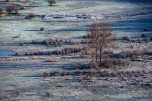 [460] Helado Amanecer Emilio Carrillo Diaz