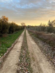 [462] Camino Noelia Sanchez Martinez