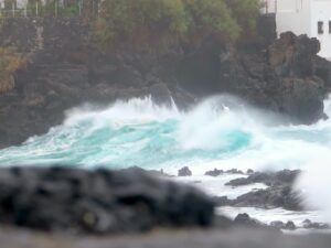 [479] Olazul José L Zaccagnini