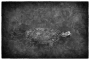 [489] FIN DE MES GLORIA SÁNCHEZ MARTÍN