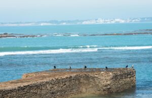 [496] Lunes al sol Manuel Sánchez Dorado
