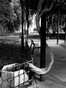 [497] deformación Vicente Suarez Yeste