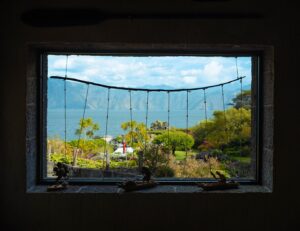 [500] Mi ventana María José Fernández Amate