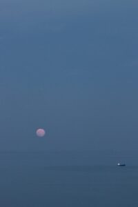 [503] AZUL Sebastián Breva Ramírez