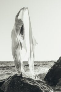 [508] Mirlo Blanco Javier Puche Jimenez