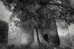 [517] Negarse al olvido Sandra María Díaz Oval