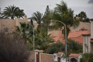 [537] Arboles entr las casas Pepe González Martín