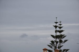 [538] Hasta el cielo Verónica González Duarte