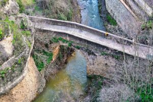 [548] Armonia manuel miguel brecia rodriguez