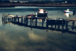 [553] CALMA DIEGO AZOPARDI