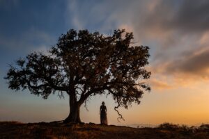 [056] Junto a la Encina Atardecer BENJAMÍN PÉREZ RECENA
