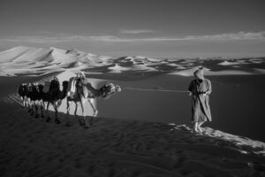 [074] PASEO POR EL DESIERTO EMILIO GOMEZ GUTIERREZ