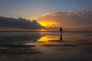 [076] Marea baja MARIA CARMEN ALDEGUER ROGET