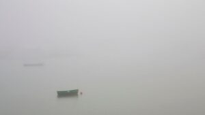 [078] FOG 2 Concepción García