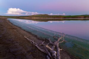 [090] Luz que agoniza Salvador Rivas Gálvez