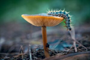 [092] Tiempo de setas Adrián Rodríguez Blanco