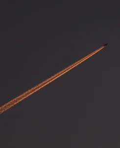 [010] Untitled Natalia Ortiz