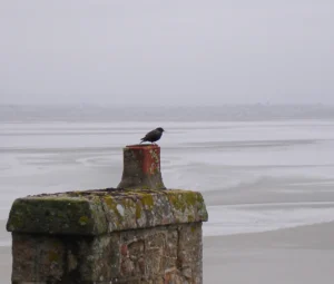 [021] QUIETUD Concepción García
