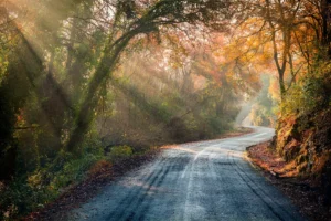 [030] Camino de luz Francisco Javier Delgado Sillero