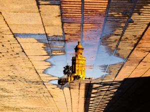 [036] Mirandoosla al suelo José Martín Toscano