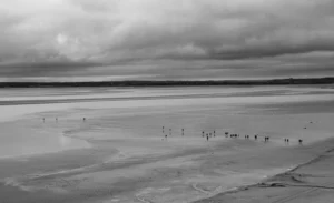 [054] EL INALCANZABLE HORIZONTE FÁTIMA SÁNCHEZ CORTÉS