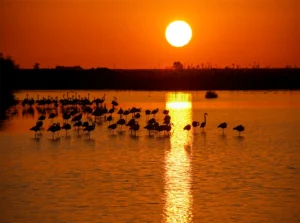 [056] Atardecer brazo este Miguel González Delgado