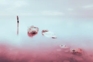 [076] Laguna rosa Juan José Ortiz Soler