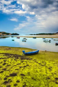 [087] EL DESEO DE NAVEGAR francisco palomar parra