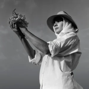 [097] VENDIMIA andres rodriguez lopez