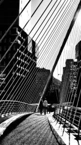 [110] Entre ángulos Rosalía Fernández Montoya