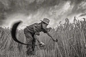 [134] Segador Agustin Padilla Carreno