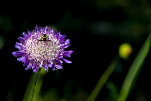 [137] Marcando territorio Manel González Amo
