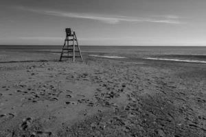 [138] ¿Vacío o posibilidades Alan McLINTOCK