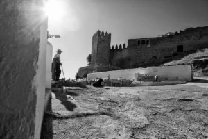 [143] Sabiote Juan Carlos Álamo