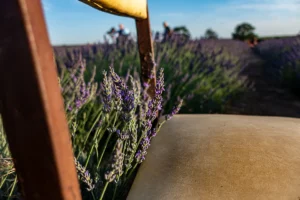 [160] Untitled David Almendral Rodríguez