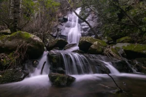 [170] El agua es vida Isabel Rondón Caballero