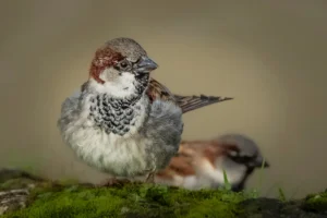[193] En compañía Amelia Pardo Gutierrez