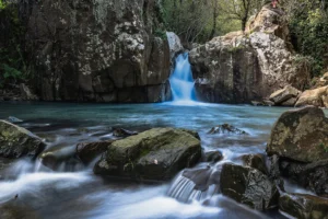[203] Rio de la Miel NARCISA CLAVERO LOZANO