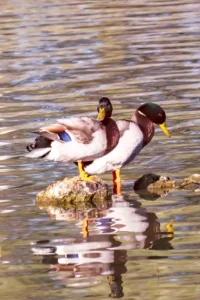 [211] Tomando el sol María de gracia Díaz Fernández