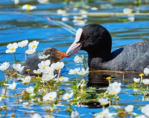 [224] Dame más José Antonio Gutiérrez López